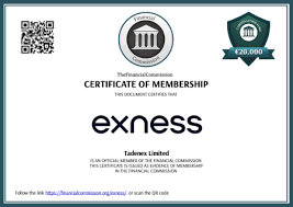 Understanding Exness Deposit and Withdrawal Methods Understanding Exness Deposit and Withdrawal Methods